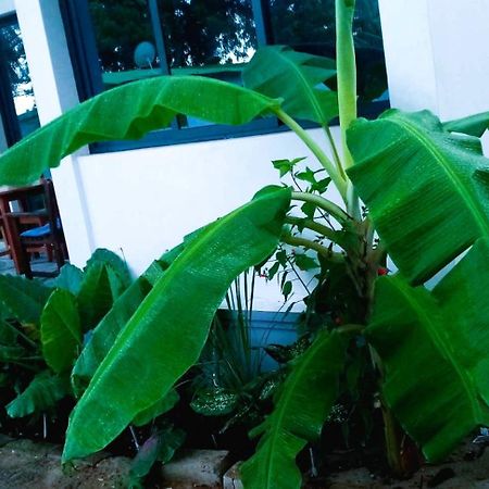 Bungalow Ramena Beach Antsiranana Andjamen Buitenkant foto