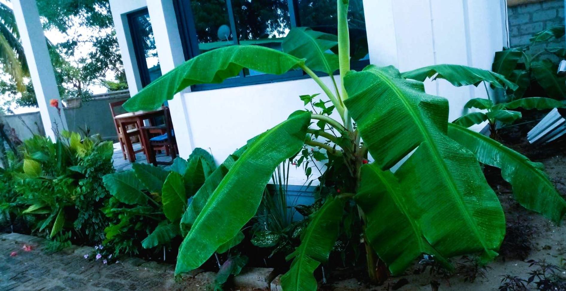 Bungalow Ramena Beach Antsiranana Andjamen Buitenkant foto