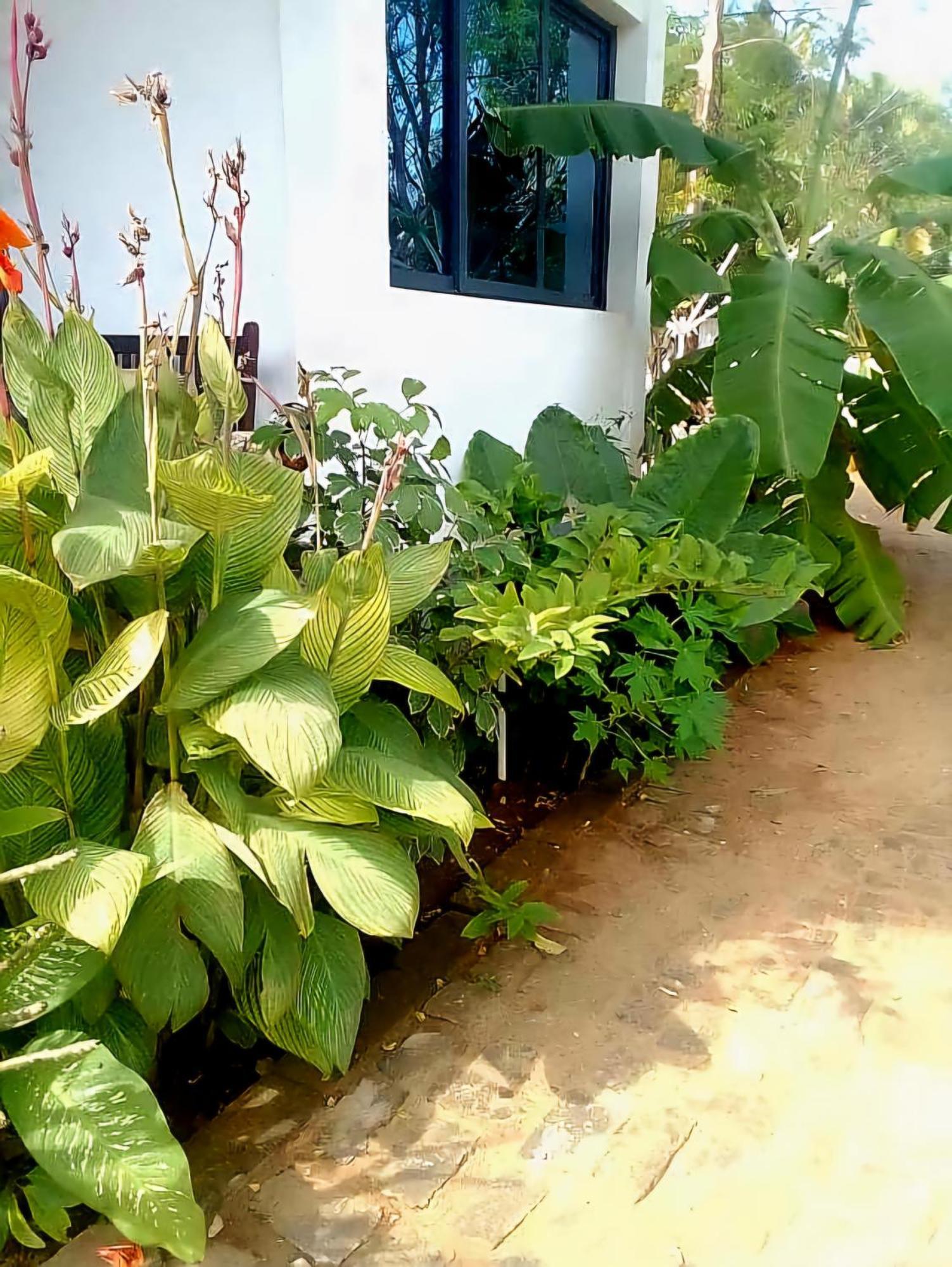 Bungalow Ramena Beach Antsiranana Andjamen Buitenkant foto